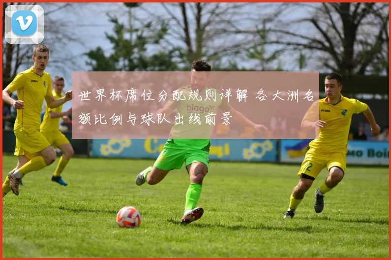 世界杯席位分配规则详解 各大洲名额比例与球队出线前景