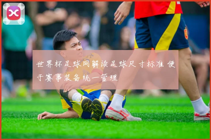 世界杯足球网解读足球尺寸标准 便于赛事装备统一管理